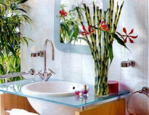 Идеальные растения для ванной комнаты